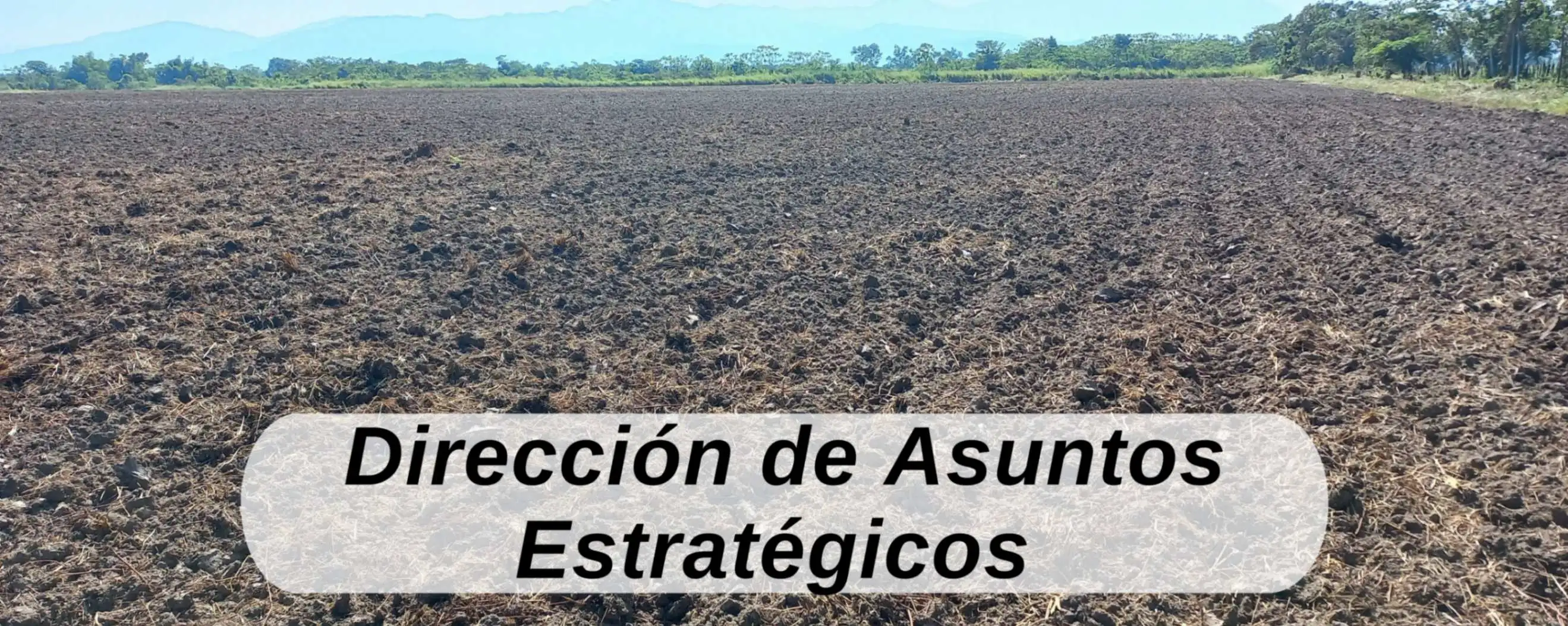 Programa  de Socioenomía Rural, Protección Vegetal, Recursos Genéticos, Biotecnología, Suelos, Producción y tecnología de semillas y alimentos ICTA Guatemala