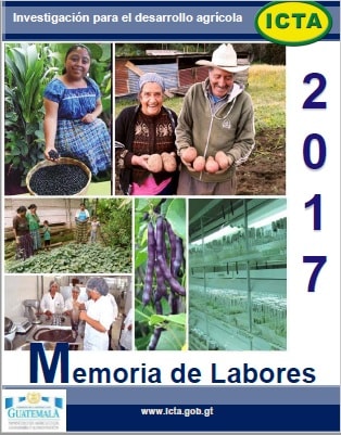 Memoria de Labores ICTA 2017