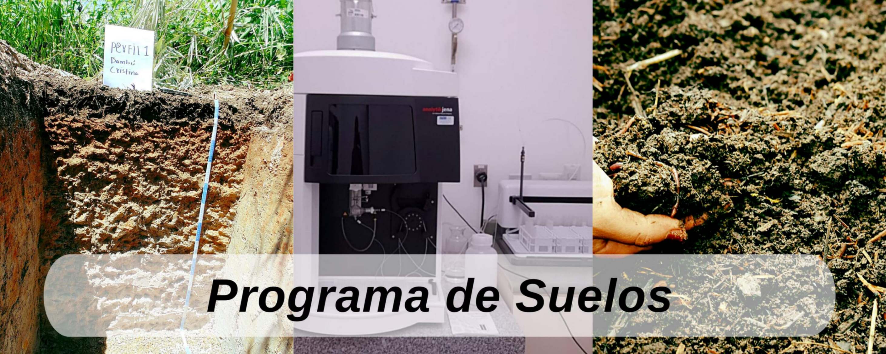 Chile Cahaboero ICTA Guatemala