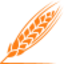 Icono de trigo