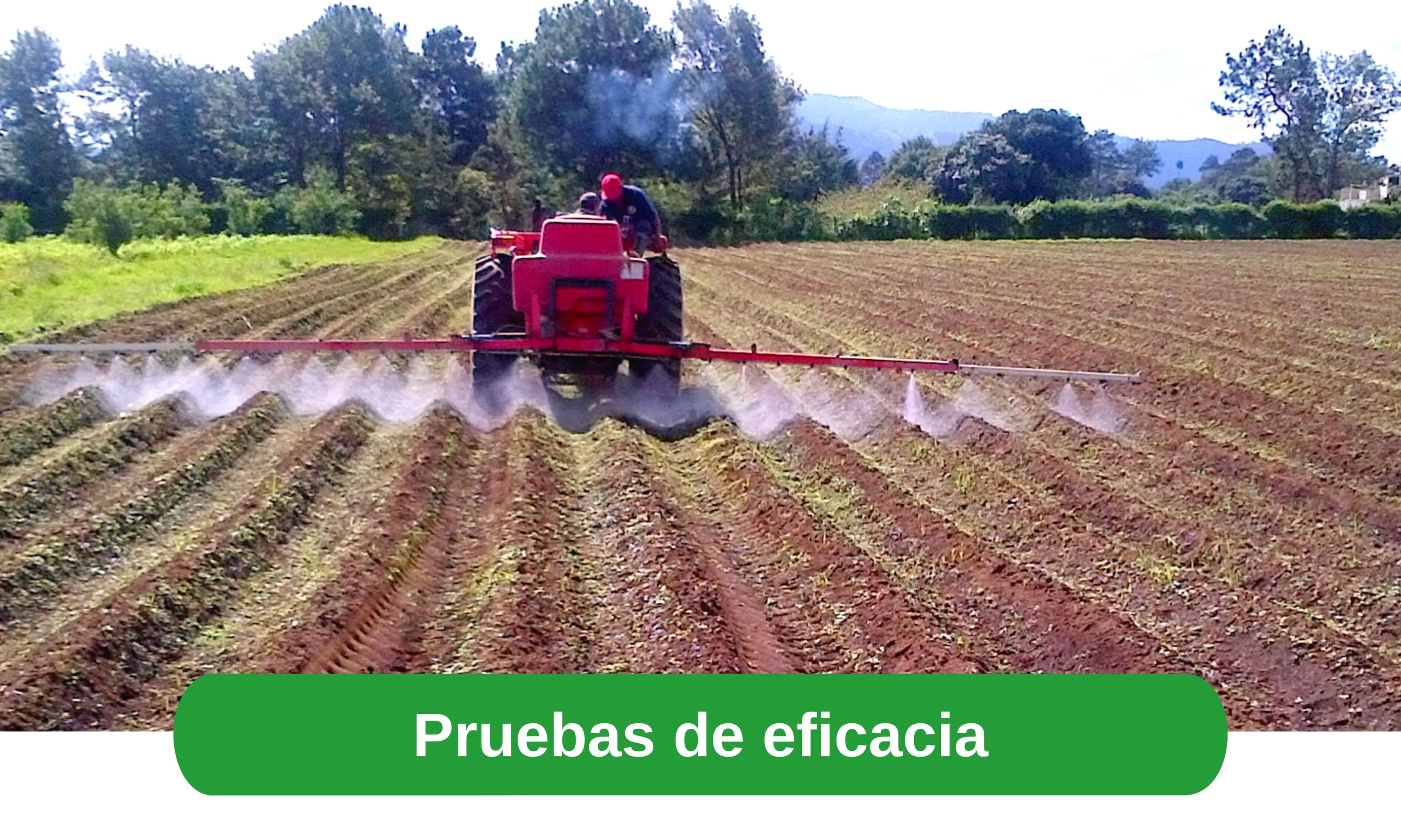 Analisis de suelos, plantas y aguas ICTA