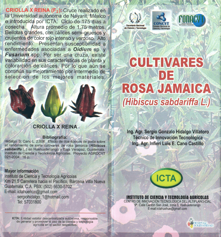 Cultivares de rosa de jamaica