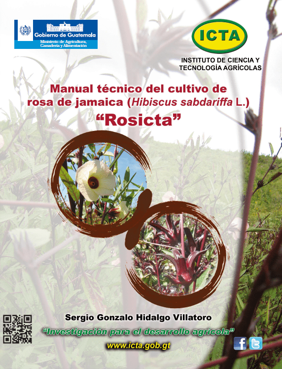 Rosa de Jamaica