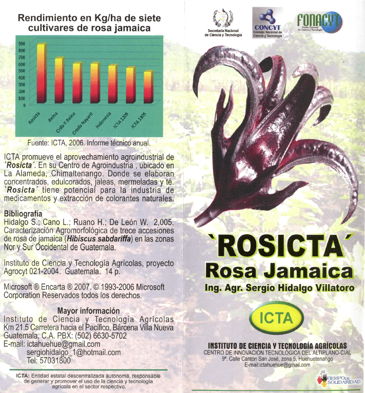 ROSICTA 2007