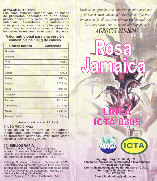 Línea ICTA 0205