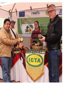 Productores contentos con frutos de agrocadenas ejecutadas por ICTA-PRIICA