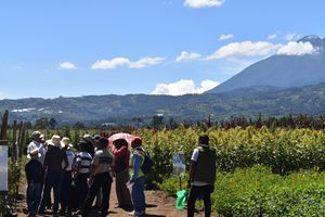 Trasferencia de tecnologías agrícolas en el altiplano central