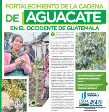 Nuevas variedades de aguacates nativos ICTA San Lucas e ICTA Llano Grande