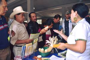ICTA comparte tecnologías agrícolas con mejores nutrientes en I Feria Nutricional 