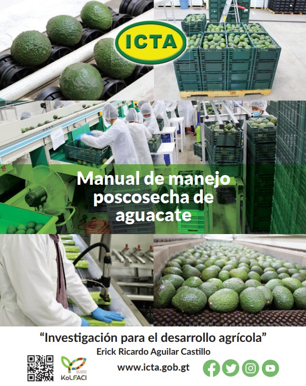 Aguacate ICTA - Manual técnico