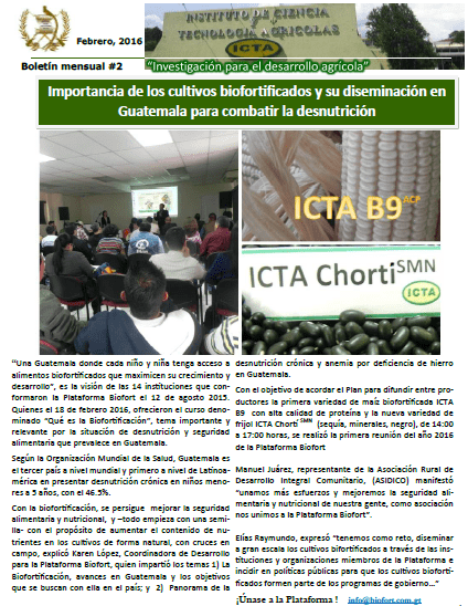 boletin ICTA febrero 2016