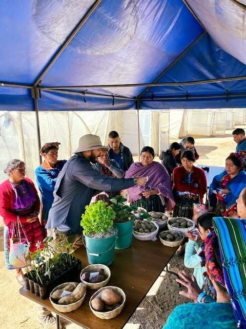 Cultivo de hortalizas en Guatemala