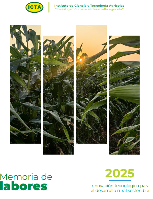 Memoria Anual 2025